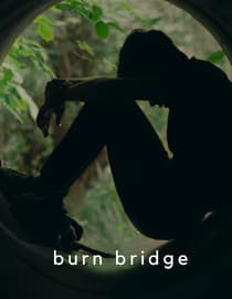 Burn Bridge
