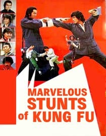 Marvelous Stunts Of Kung Fu