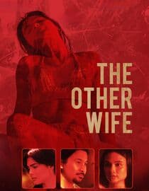 The Other Wife