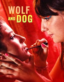 Wolf And Dog