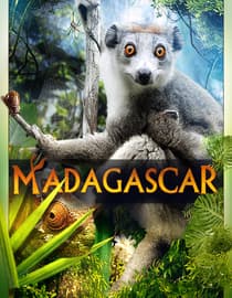 Madagascar