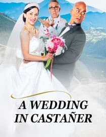 A Wedding in Castañer