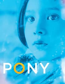 Pony