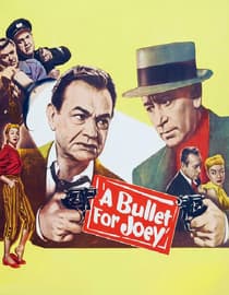 A Bullet for Joey