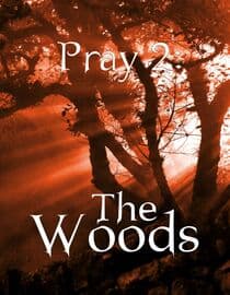 Pray 2 - The Woods
