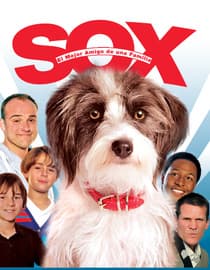 Sox: El mejor amigo de una familia