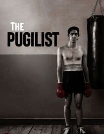 The Pugilist