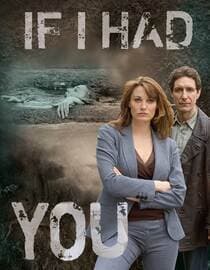 If I Had You