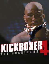 Kickboxer 4: The Aggressor