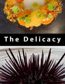 The Delicacy