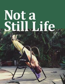 Not a Still Life