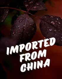 Imported From China