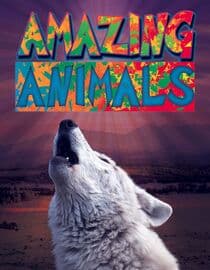 Amazing Animals