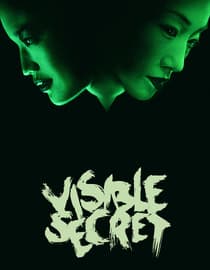 Visible Secret