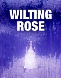 Wilting Rose