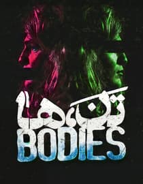 Bodies