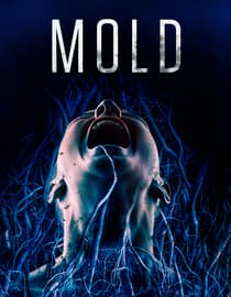 Mold