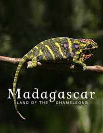 Madagascar - Land of the Chameleons
