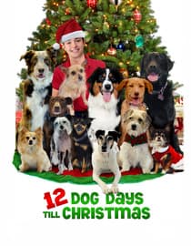 12 Dog Days Till Christmas