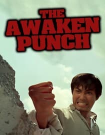 The Awaken Punch