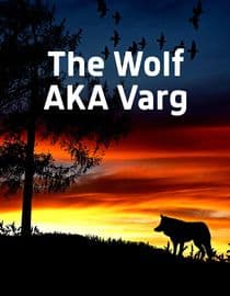 Wolf aka Varg