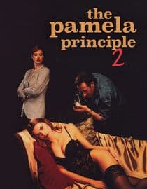 The Pamela Principle II