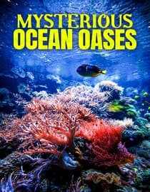 Mysterious Ocean Oases
