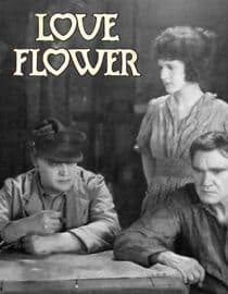 The Love Flower