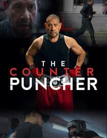 The Counter Puncher
