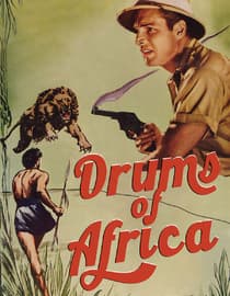 Drums of Africa