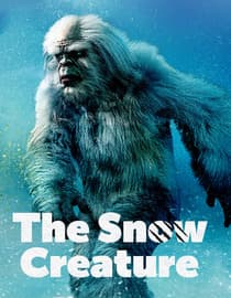 The Snow Creature
