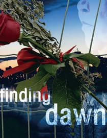 Finding Dawn