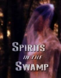 Spirits in the Swamp