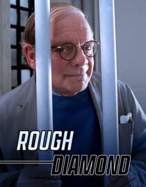 Rough Diamond