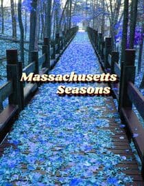 Massachusetts Seasons