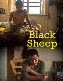 Black Sheep