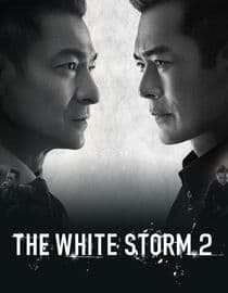 The White Storm 2: Drug Lords