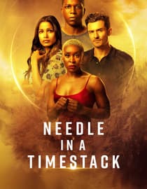Needle in a Timestack