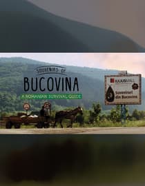 Souvenirs of Bucovina: A Romanian Survival Guide