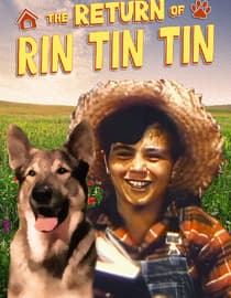 The Return of Rin Tin Tin