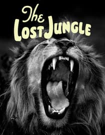 The Lost Jungle