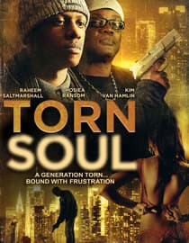 Torn Soul