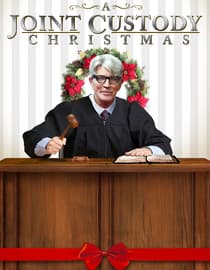 A Joint Custody Christmas