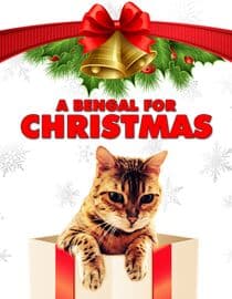 A Bengal For Christmas