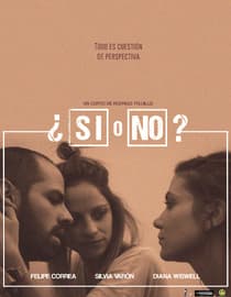Sí o no (Yes or No)