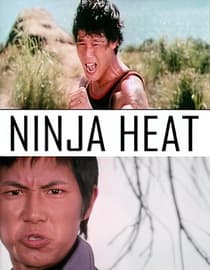 Ninja Heat