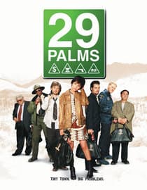 29 palmas