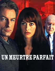 Un meurtre parfait (A Clean Kill)
