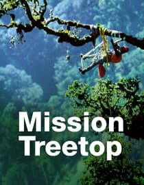 Mission Treetop