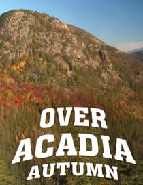 Over Acadia: Autumn